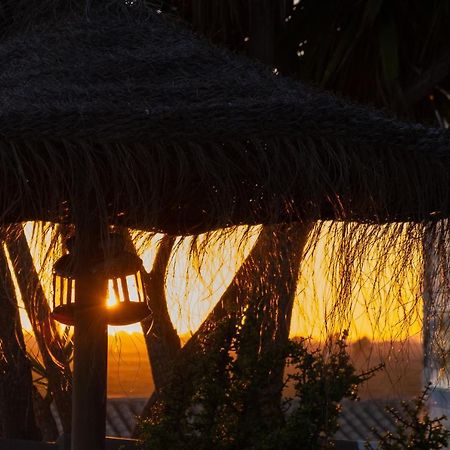 Cortijo Flamingos Διαμέρισμα Chiclana de la Frontera Εξωτερικό φωτογραφία
